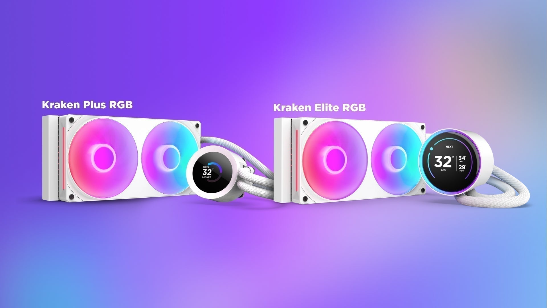 Kraken Elite vs. Kraken Plus: What’s the Difference?